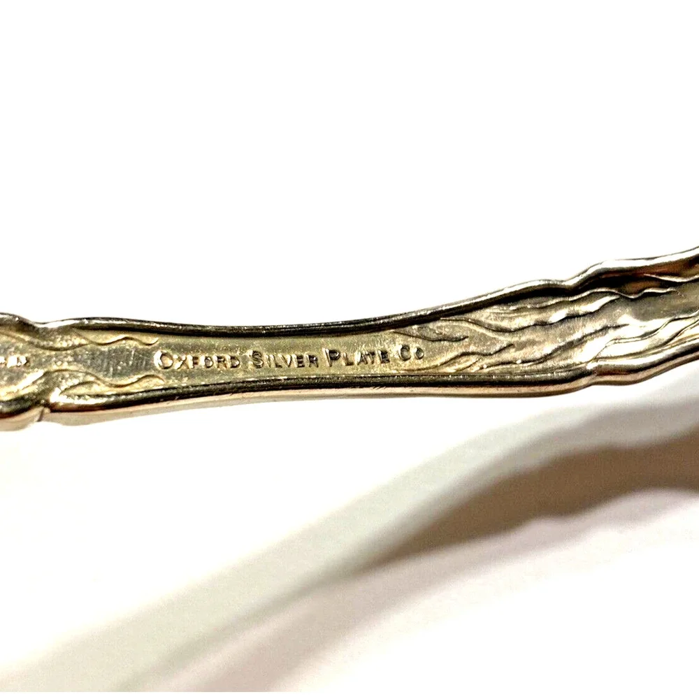 Silverplated Serving Spoon Gravy Ladle Oneida Narcissus 1908 Silver Flatware